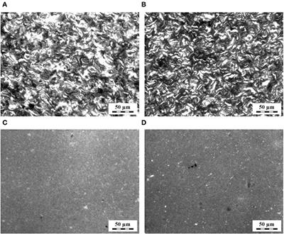 Thermoplastic Starch Composites With Titanium Dioxide and Vancomycin Antibiotic: Preparation, Morphology, Thermomechanical Properties, and Antimicrobial Susceptibility Testing
